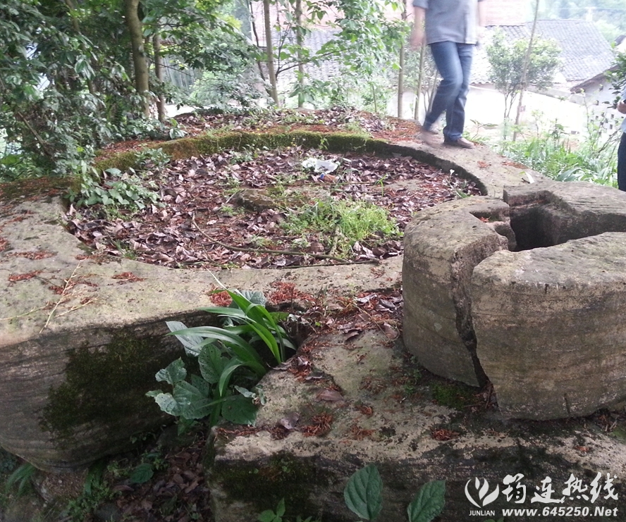 20150416_190011__914.jpg