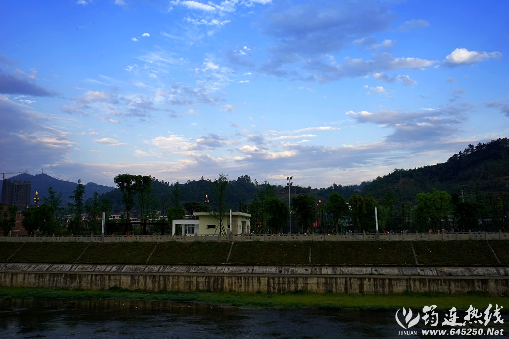 DSC01209_.jpg