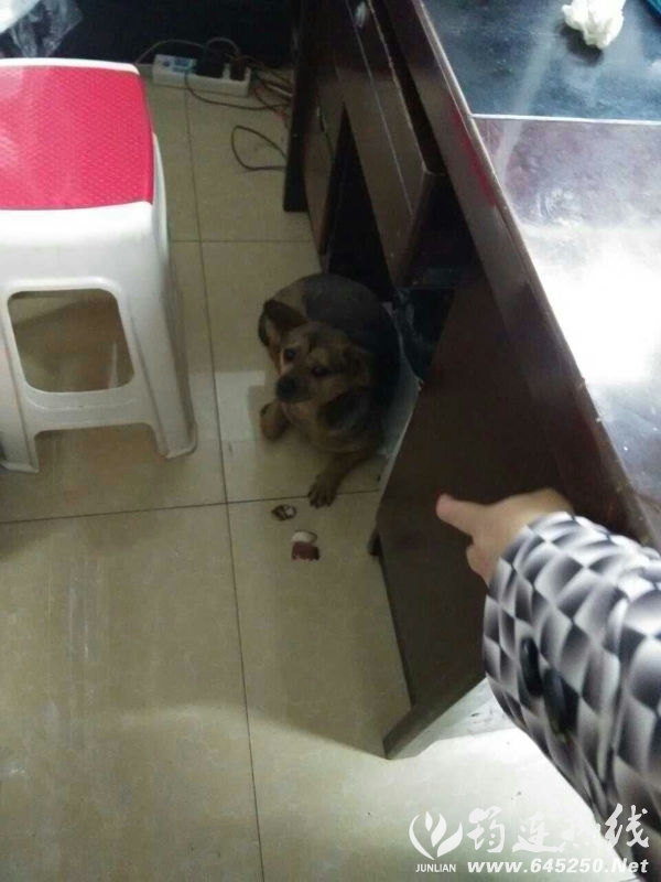 56256