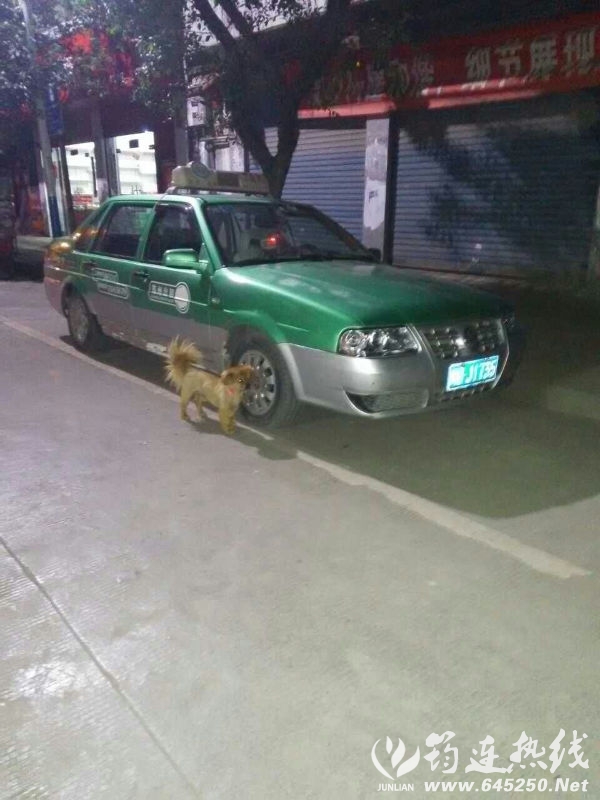 56257