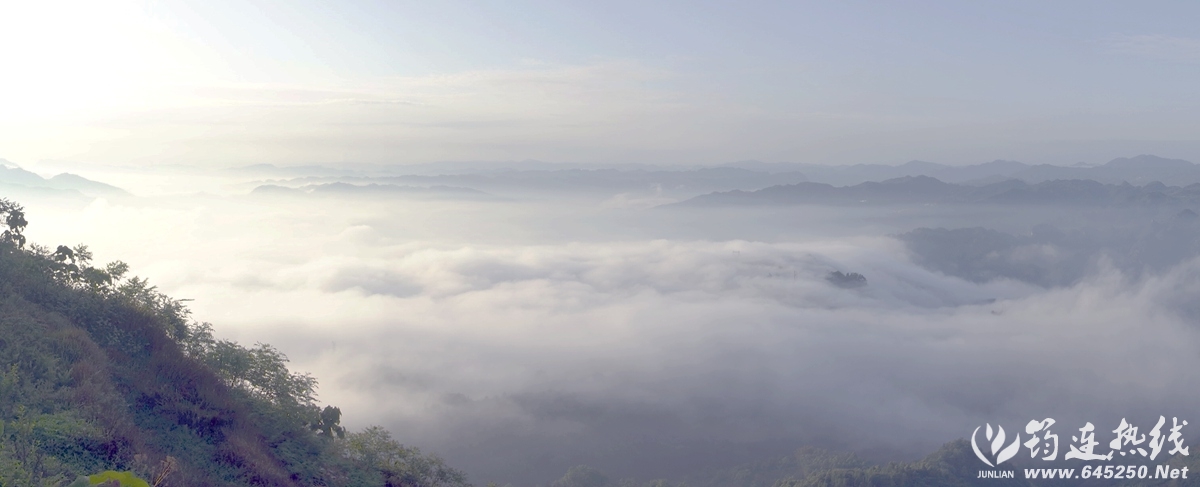DSC01074_.jpg