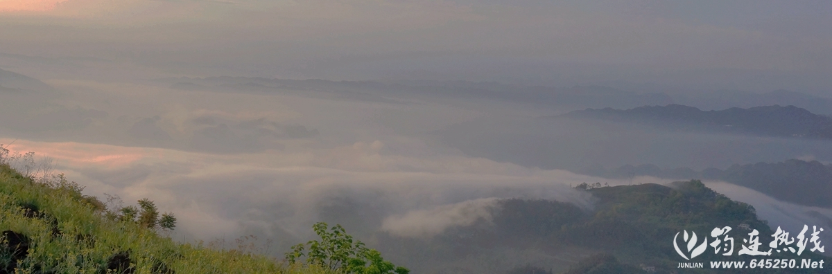 DSC01062__.jpg