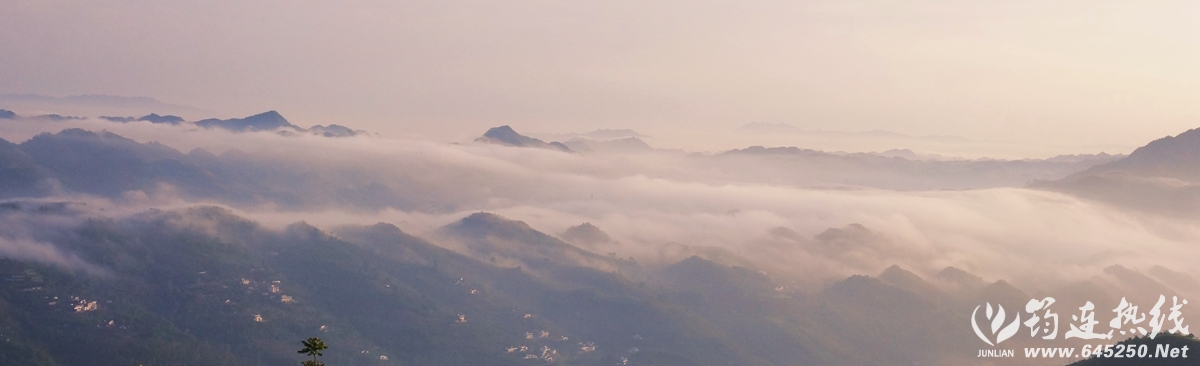 DSC01059__.jpg