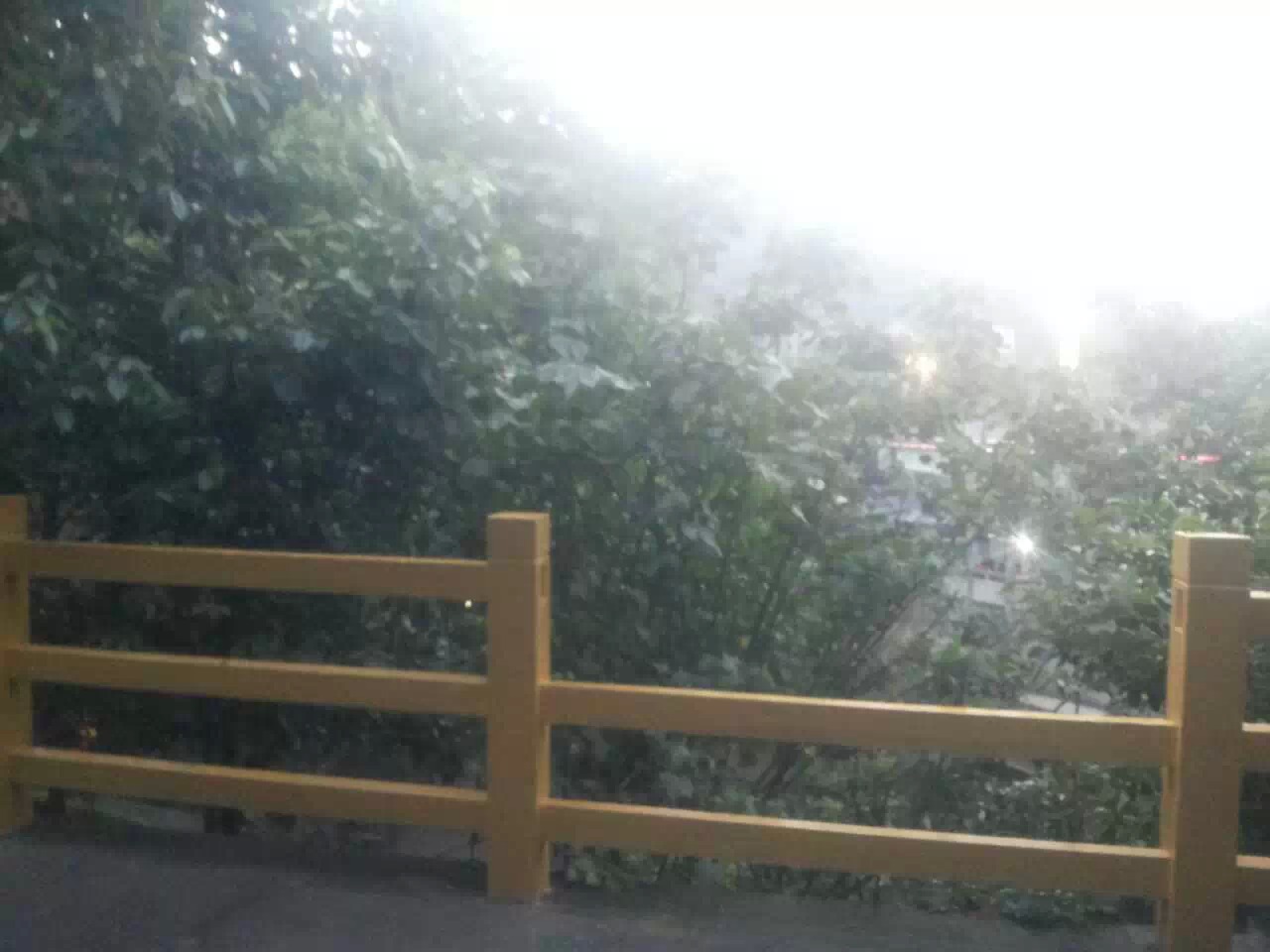 wechat.jpg
