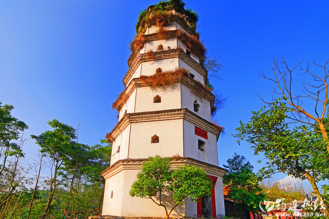 DSC06351-2.jpg