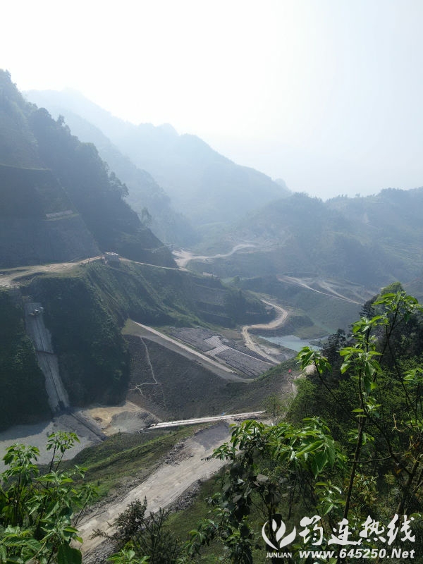 IMG20150401103131.jpg