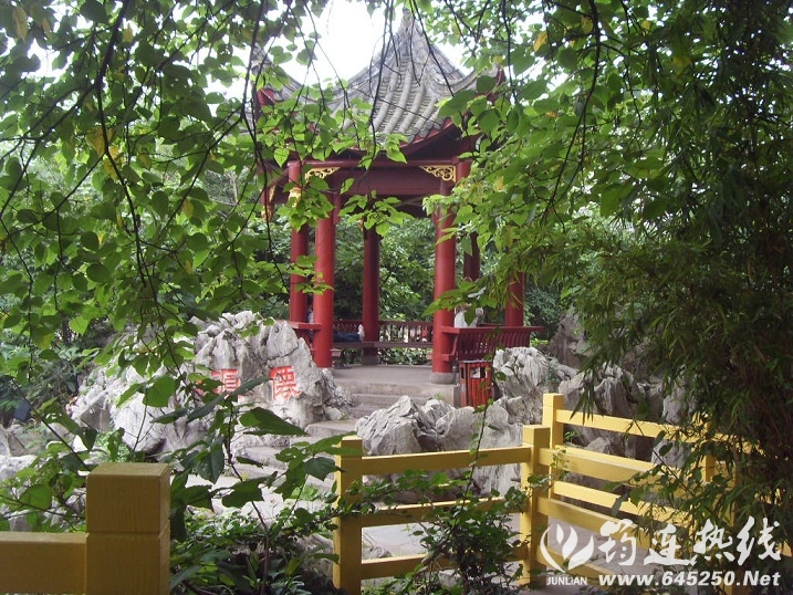 SDC17143.JPG