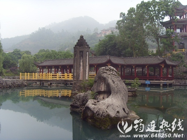 SDC17127.JPG