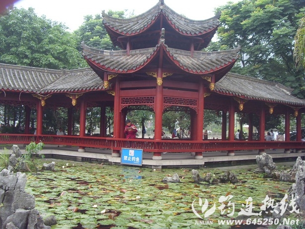 SDC17135.JPG