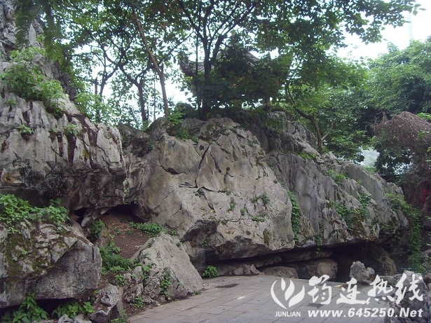 SDC17147.JPG