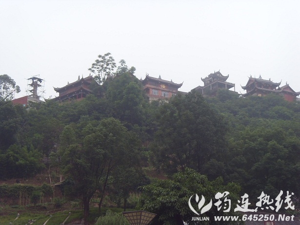 SDC17157.JPG