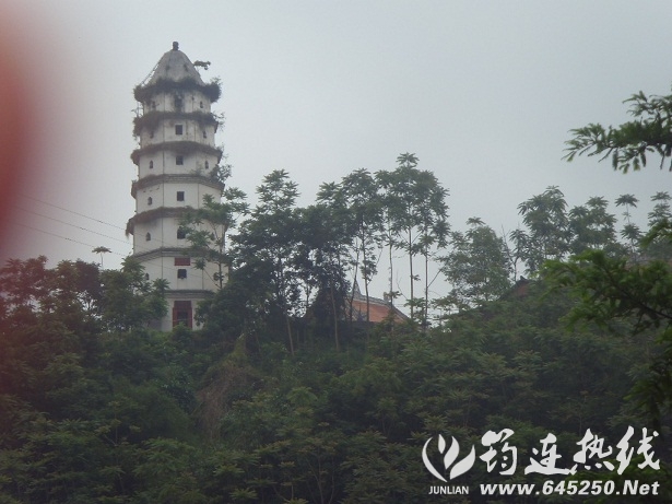 SDC17162.JPG