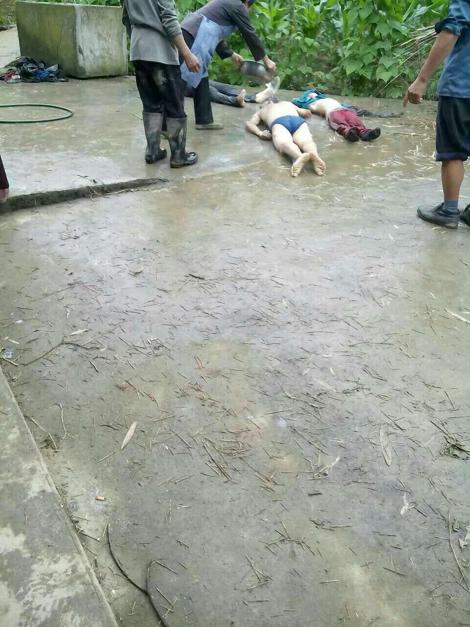 wechat.jpg
