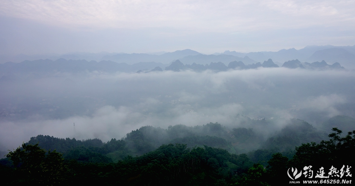 DSC09781_.jpg