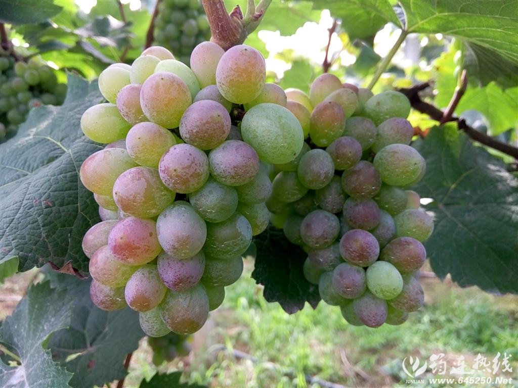 ƬP50609-170400 ().jpg
