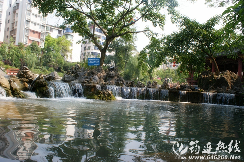 DSC03122_.jpg