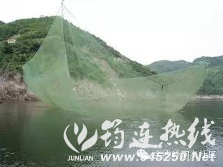 1ff358eadd5c2d7b88a740725c4d78ca.jpg