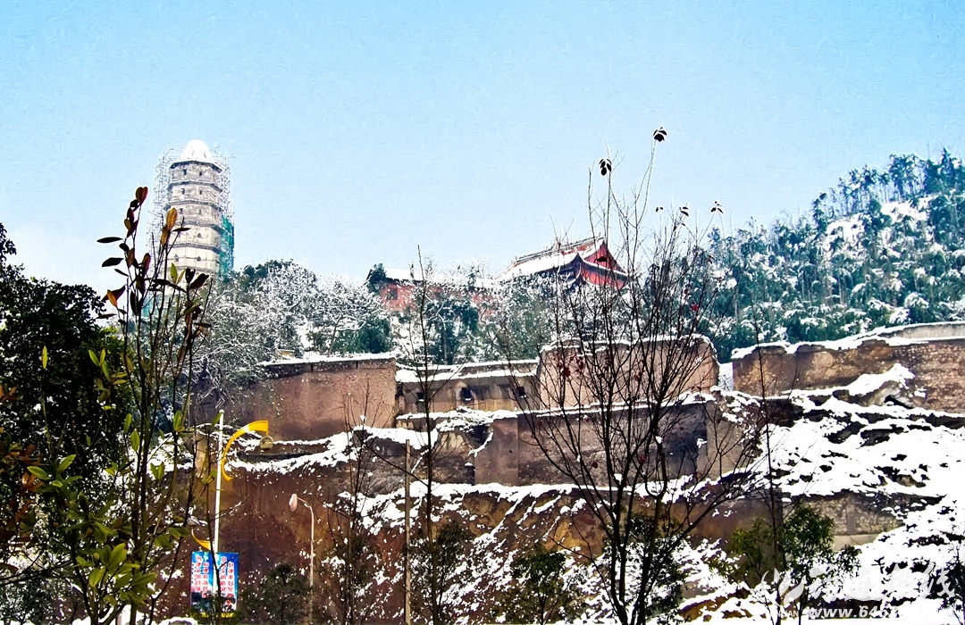 P1010949-2.jpg