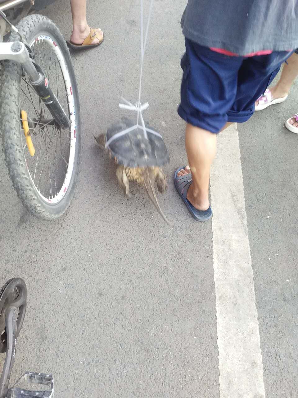 wechat.jpg