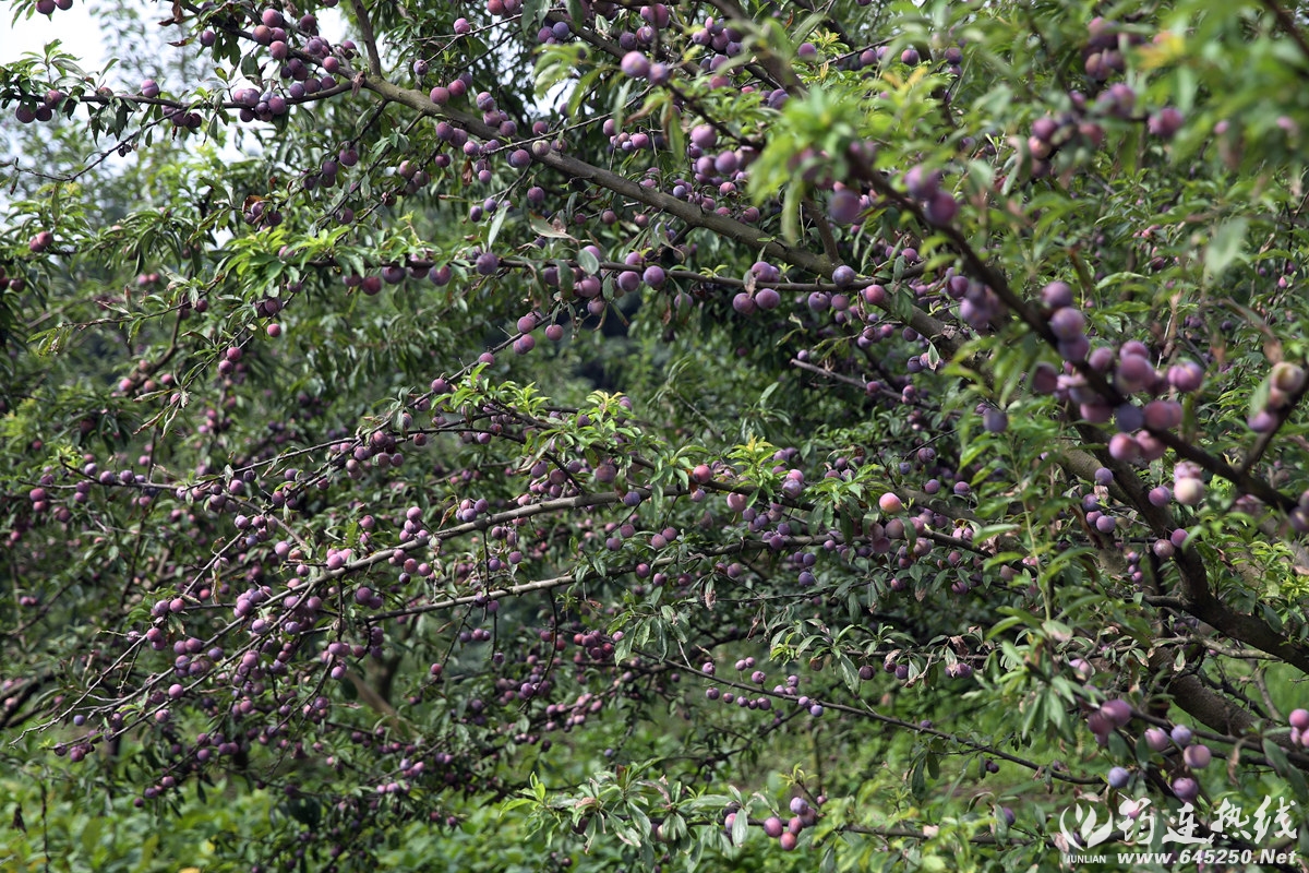 A06U5975__.jpg