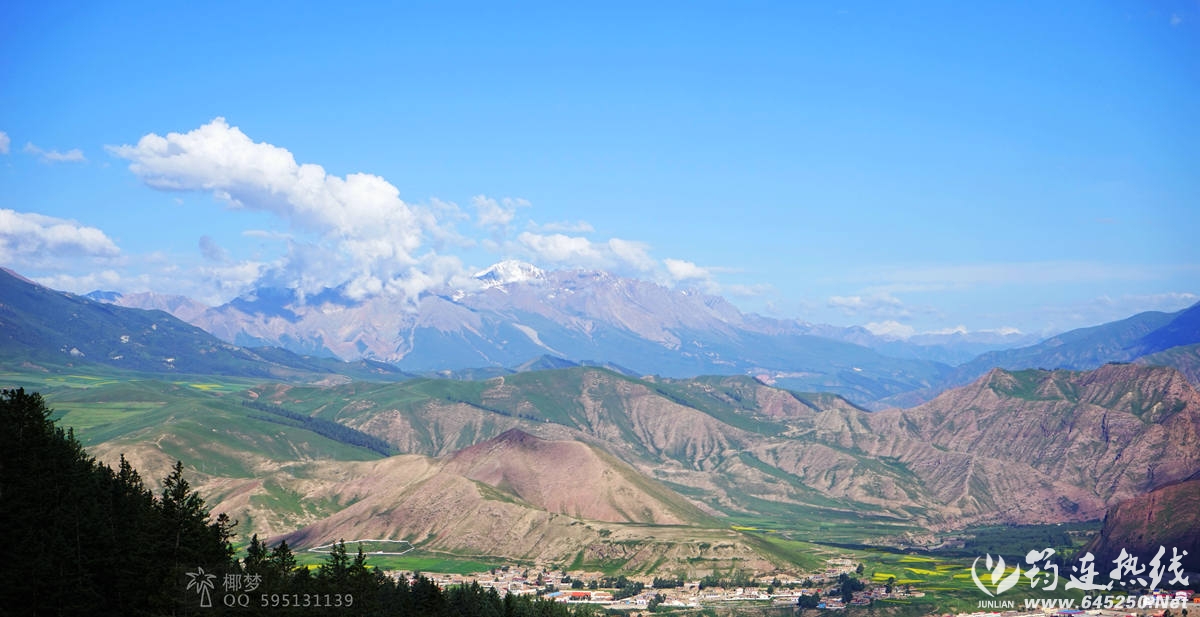DSC02522_.jpg