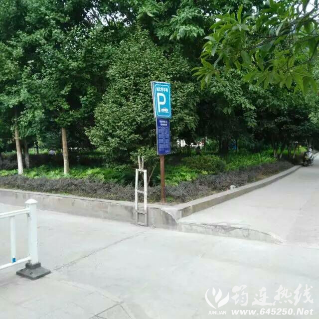 64055