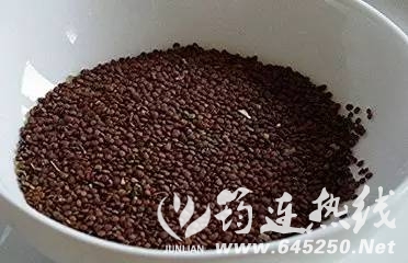 2ae7655ba233247c0bfd46b7767d681f.jpg