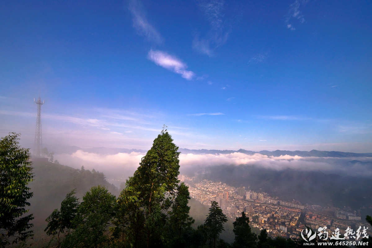 DSC07801-2.jpg