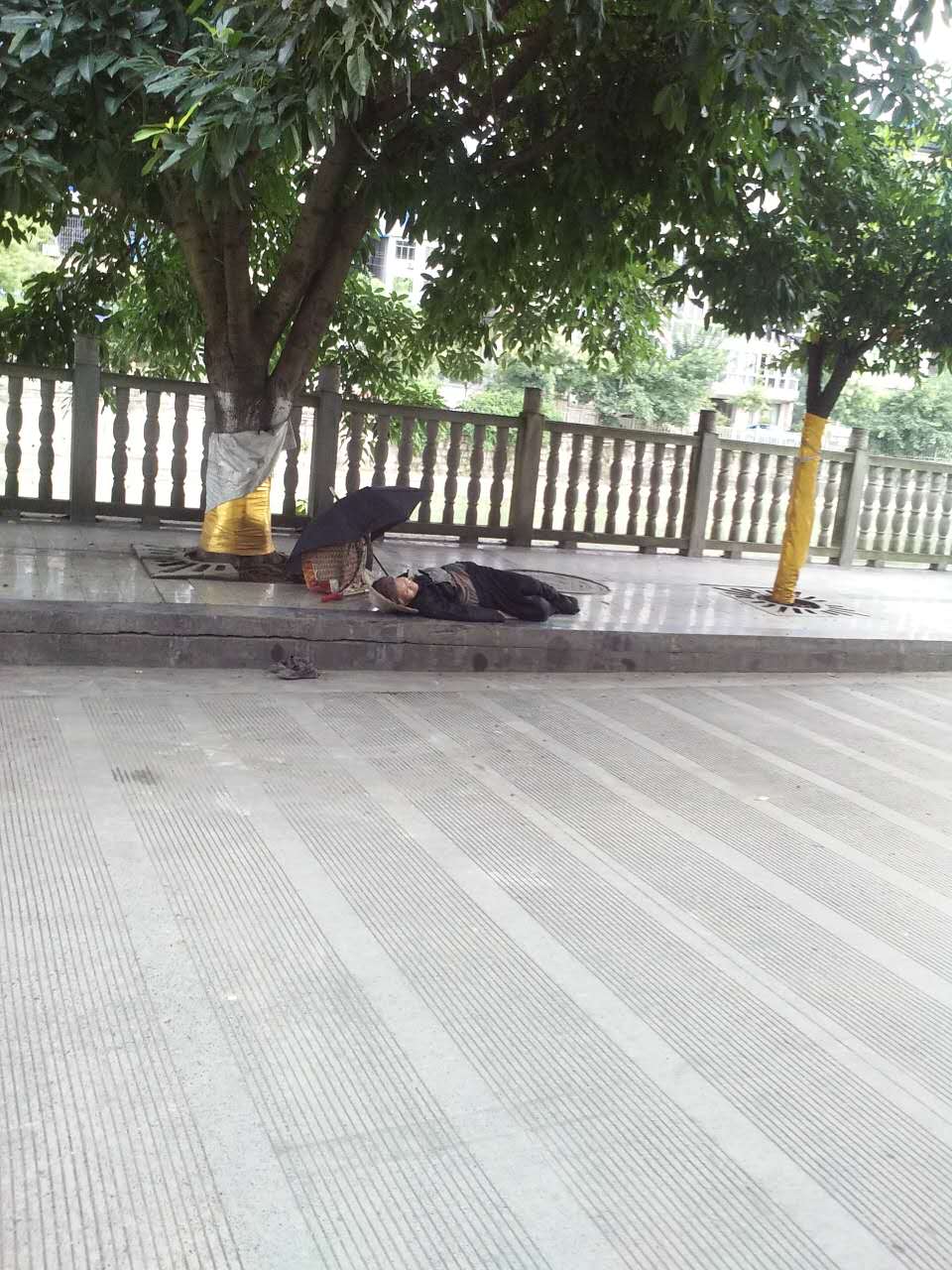 wechat.jpg