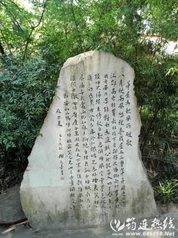 64435