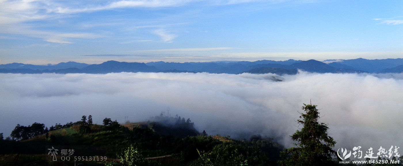 DSC00612_.jpg
