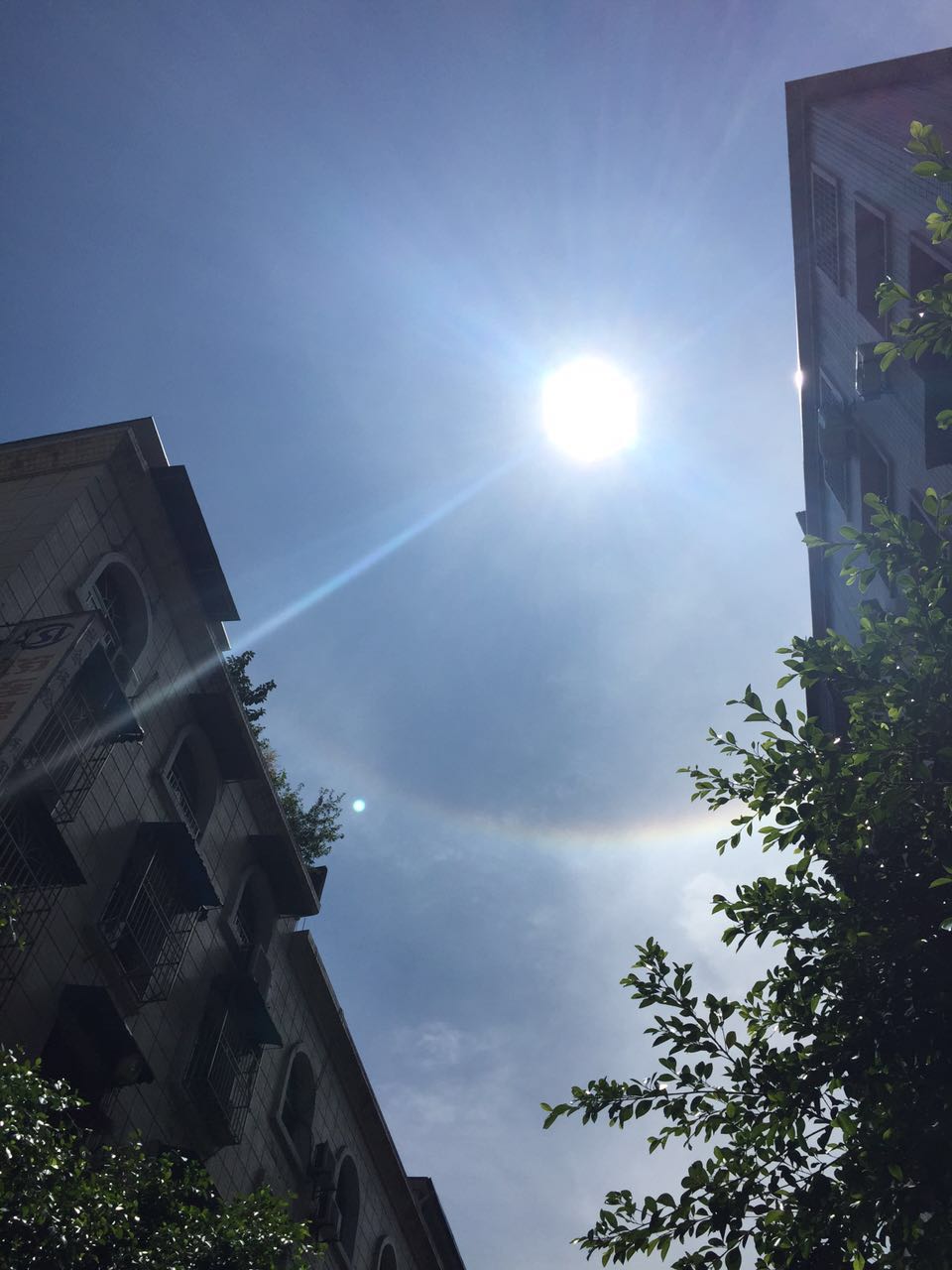 wechat.jpg