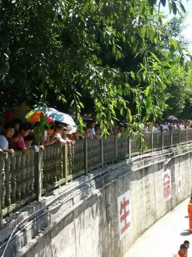 wechat.jpg