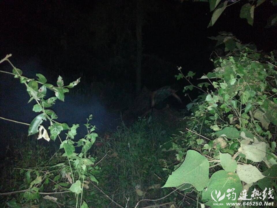 QQͼƬ20150803230214.jpg