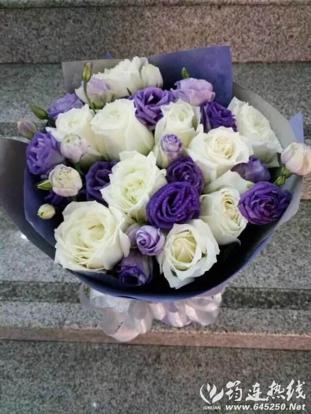 080421zwddduaaluelcuw3.jpg