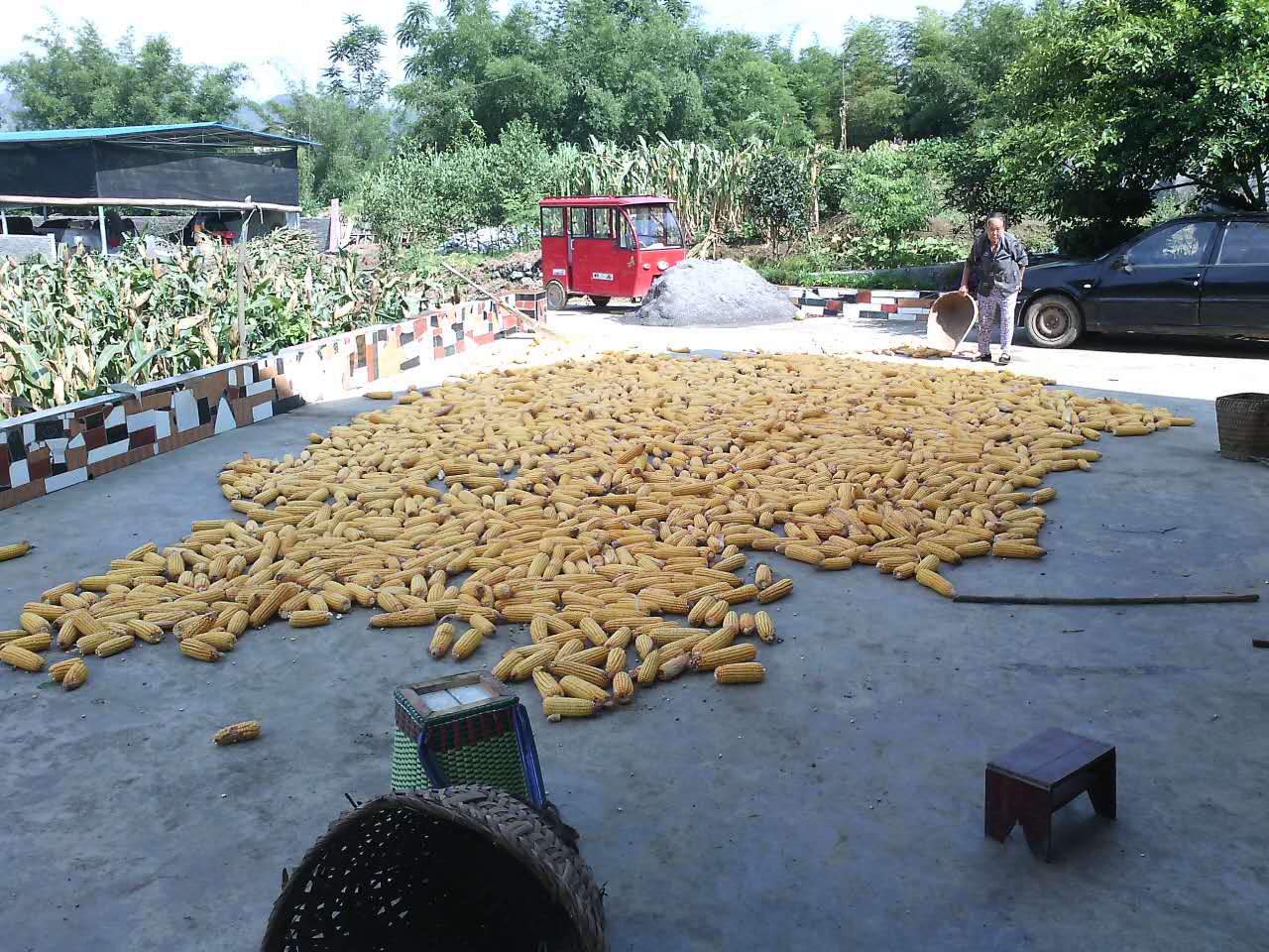 wechat.jpg