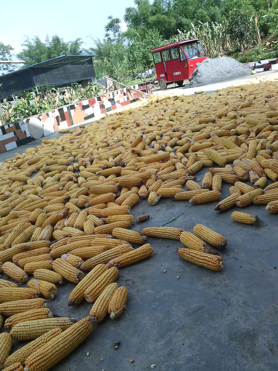 wechat.jpg