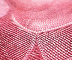 2e39dc481501eeaceff4b9880cea501d.gif