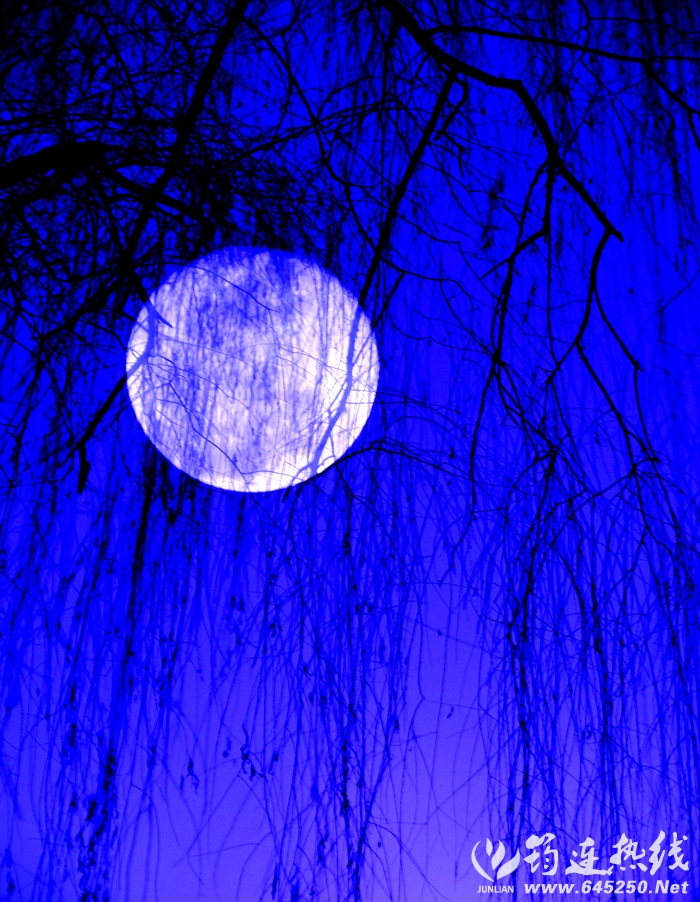 DSC02413_.jpg