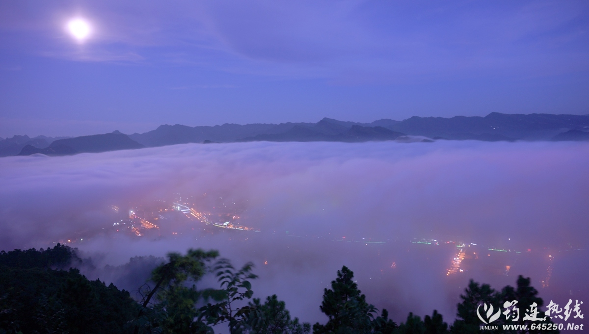 DSC05538_.jpg
