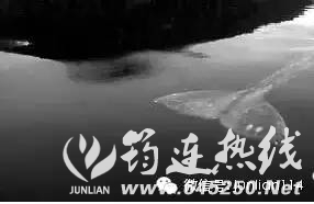 a719474c6661108eff3064dff4fa64bb.jpg