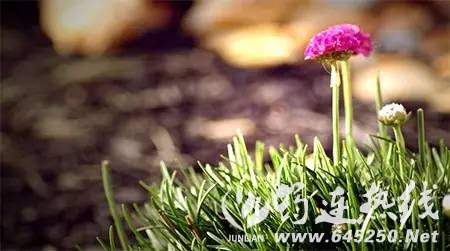 06d4bf7a86f0b803e48dfde6125b50ab.jpg