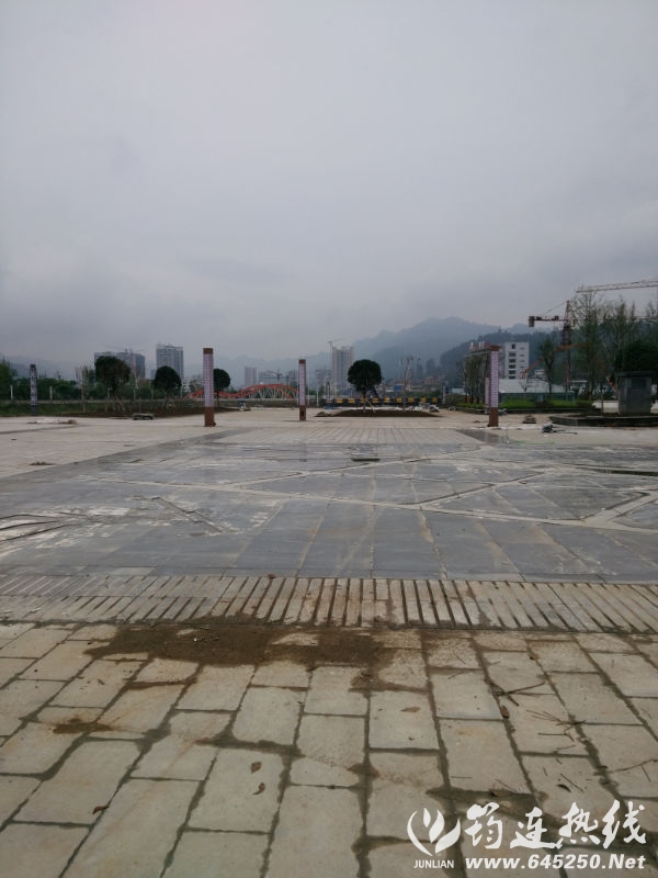 IMG_20150916_123351.jpg
