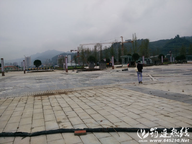 IMG_20150916_123340.jpg