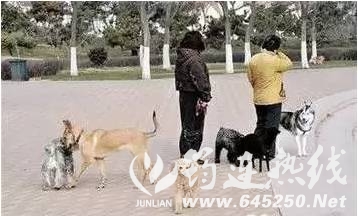 e1cf6dd0be0bd2e99f9c916f6b19973a.jpg
