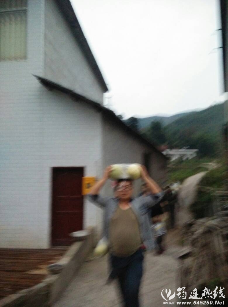 221557alpdteqsj1jc1lqx.jpg