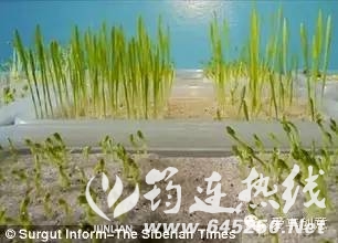 9b646e2d789b3ccdc5589ac3050e9c58.jpg