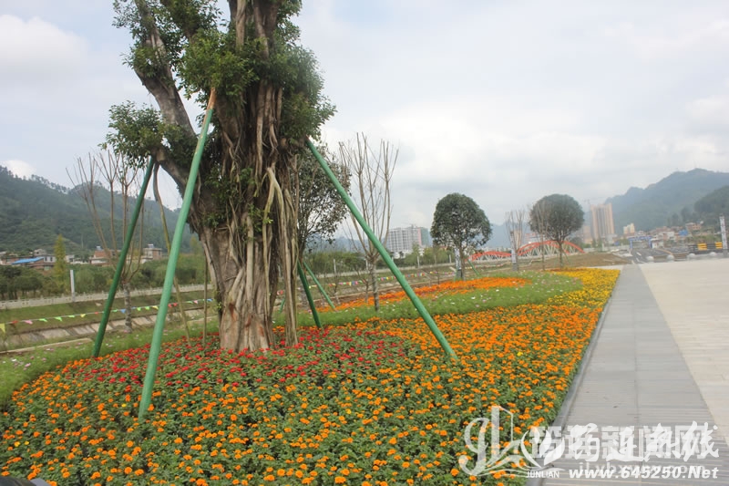 9cdbc3d79765739b82faab0cde6b44c7.jpg