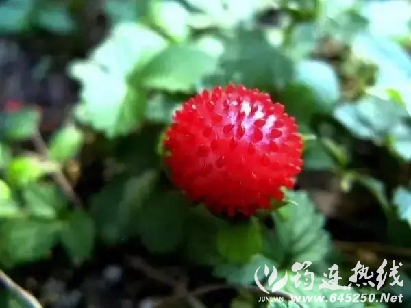 0da13d1bcad0faae8291bc56d6f6615d.jpg