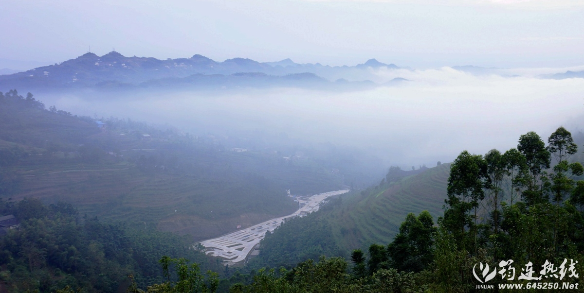 _DSC8436__.jpg